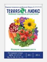 IMG-8855