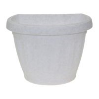 терра нась бф