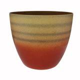 спирит оранж