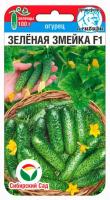 ogurec-zelenaya-zmejka-f1-sibirskij-sad