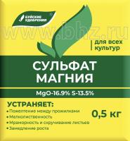 IMG-0080