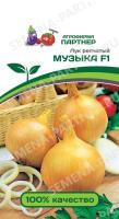 лук музыка