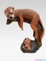 сури на ветке