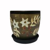 ветка с цветами