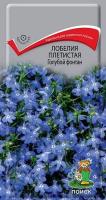 лобелия голубой фонтан поиск