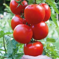 xcd1oxrd274oduoj13me0m81af5jvwi6