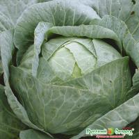 b6f89d167466141810fb4571a2b52db3