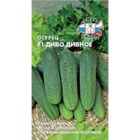 диво дивное
