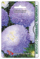 астра карамболь серебряно-голубая
