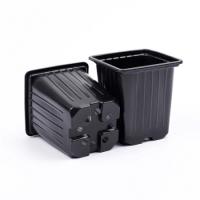 7vznr0cpucuv3actnkebch1df92q0wsp