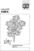 Кориандр Тайга