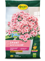 азалия счастье
