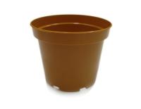 zPTeAiPMR