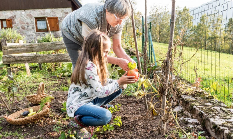 КАЛЕНДАРЬ САДОВОДА НА СЕНТЯБРЬ