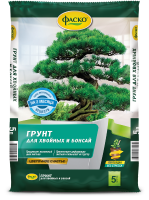 хвойные счастье