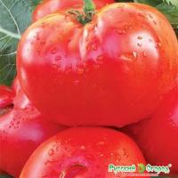 457