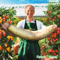 dcdb7c2a9007dd22e437495a32a18cea