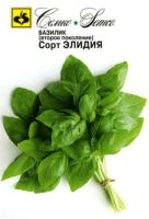 базилик элидия