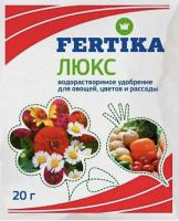 IMG-4684