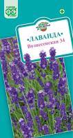 лаванда вознесенская