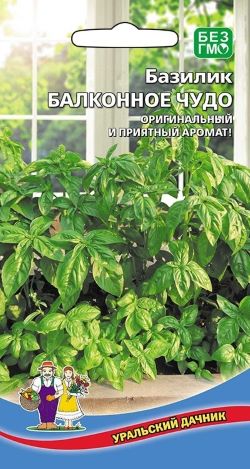 базилик балк чудо