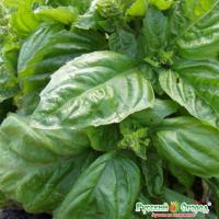 c0eceda9ad60cd2b98f84261fc8db4ef