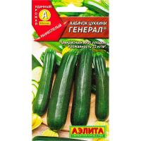 Генерал