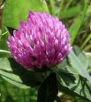 IMG-5815