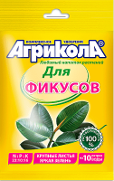 фикусы