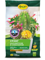 кактусы счастье