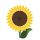 Подсолнечник Подсолнечник
