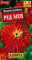 Цинния Ред мен аэлита