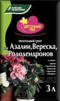 IMG-0038
