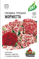 гвоздика жоржетта гавриш