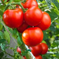 n2mmm8ds0b3m2yi2dvotcbr3guyi5rss