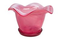 элли роз крш