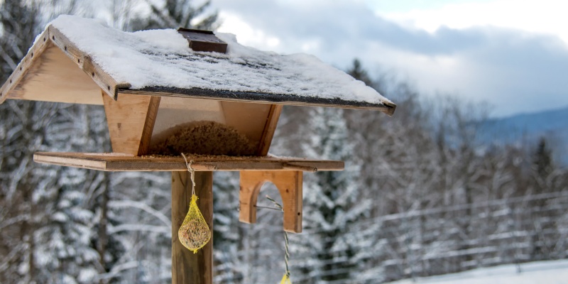 ЗАБОТИМСЯ О ПТИЦАХ ЗИМОЙ