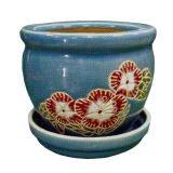 васильк настр