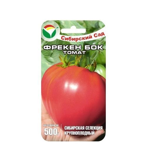 684