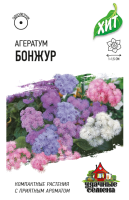 Агератум Бонжур гавриш