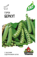 беркут xит