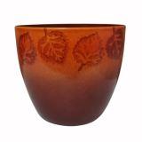 елоу ред лиф