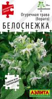 Огуречная трава Белоснежка аэлита