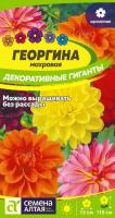IMG-9900