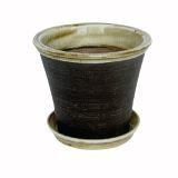 колкоол шоко