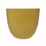 базель желт