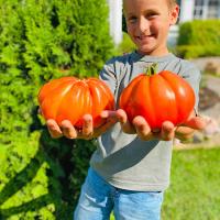 4cvrq8pn122fw5e1s69gaff813mfdfdd