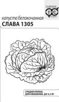 слава 1305 б.п
