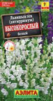 Львиный зев Высокорослый белый аэлита
