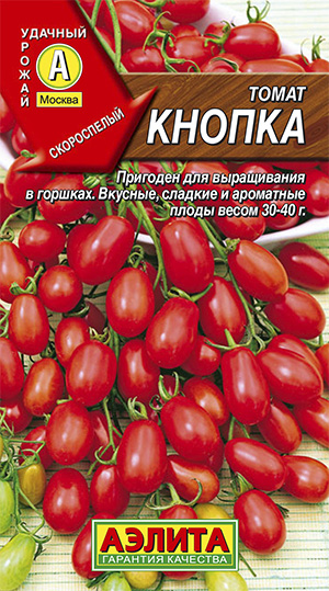 кнопка